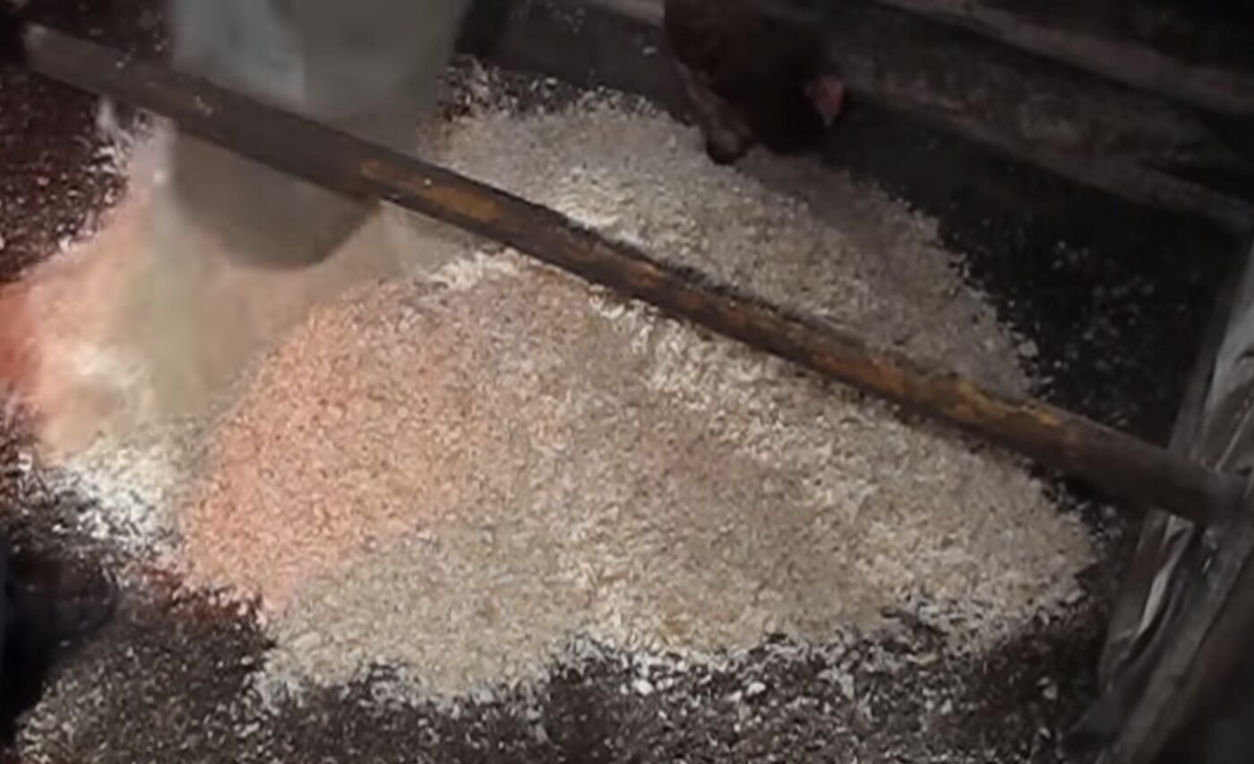 Яка підстилка найкраще гріє в курнику Яка підстилка найкраще гріє в курнику