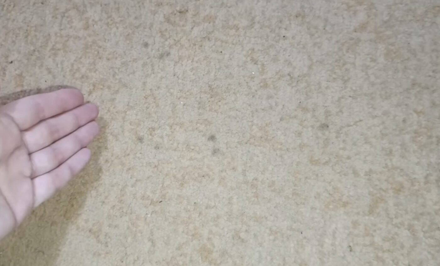 Як простими засобами прибрати забруднення з килима