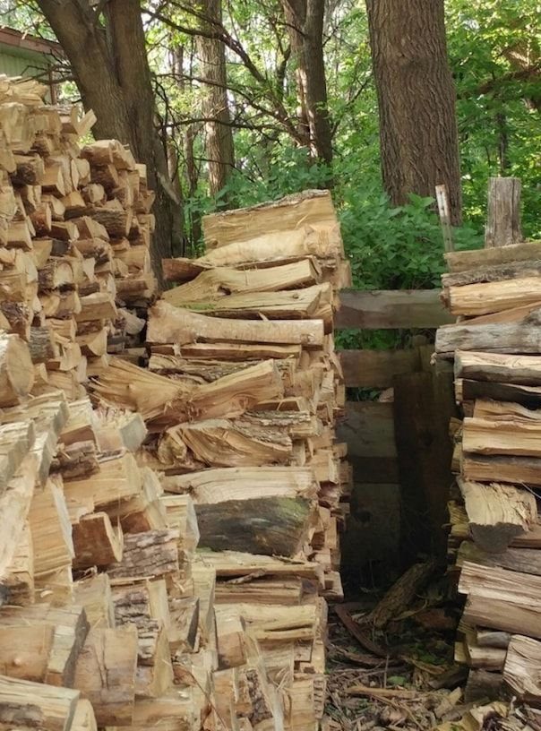 Знайдіть кота на зображенні за 10 секунд