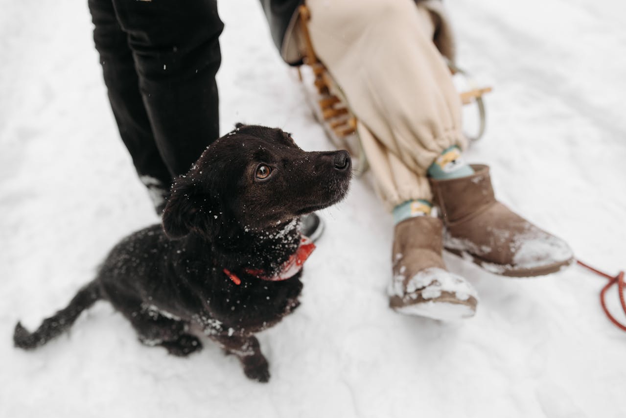 Експерти поділились рецептом засобу від промокання ніг взимку – корисна порада для тепла