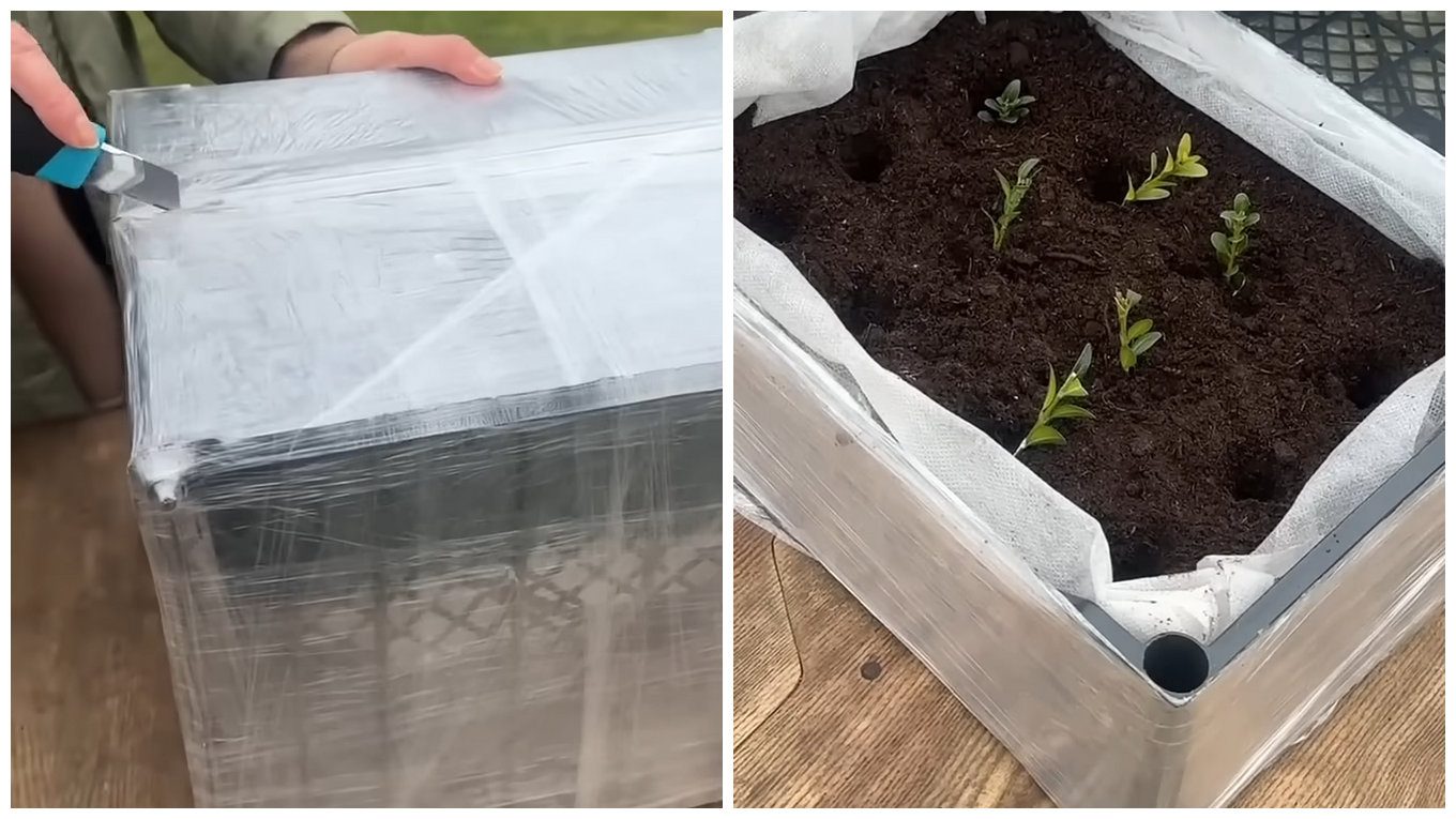 Городники пояснили, як зробити мініпарник із пластикових ящиків