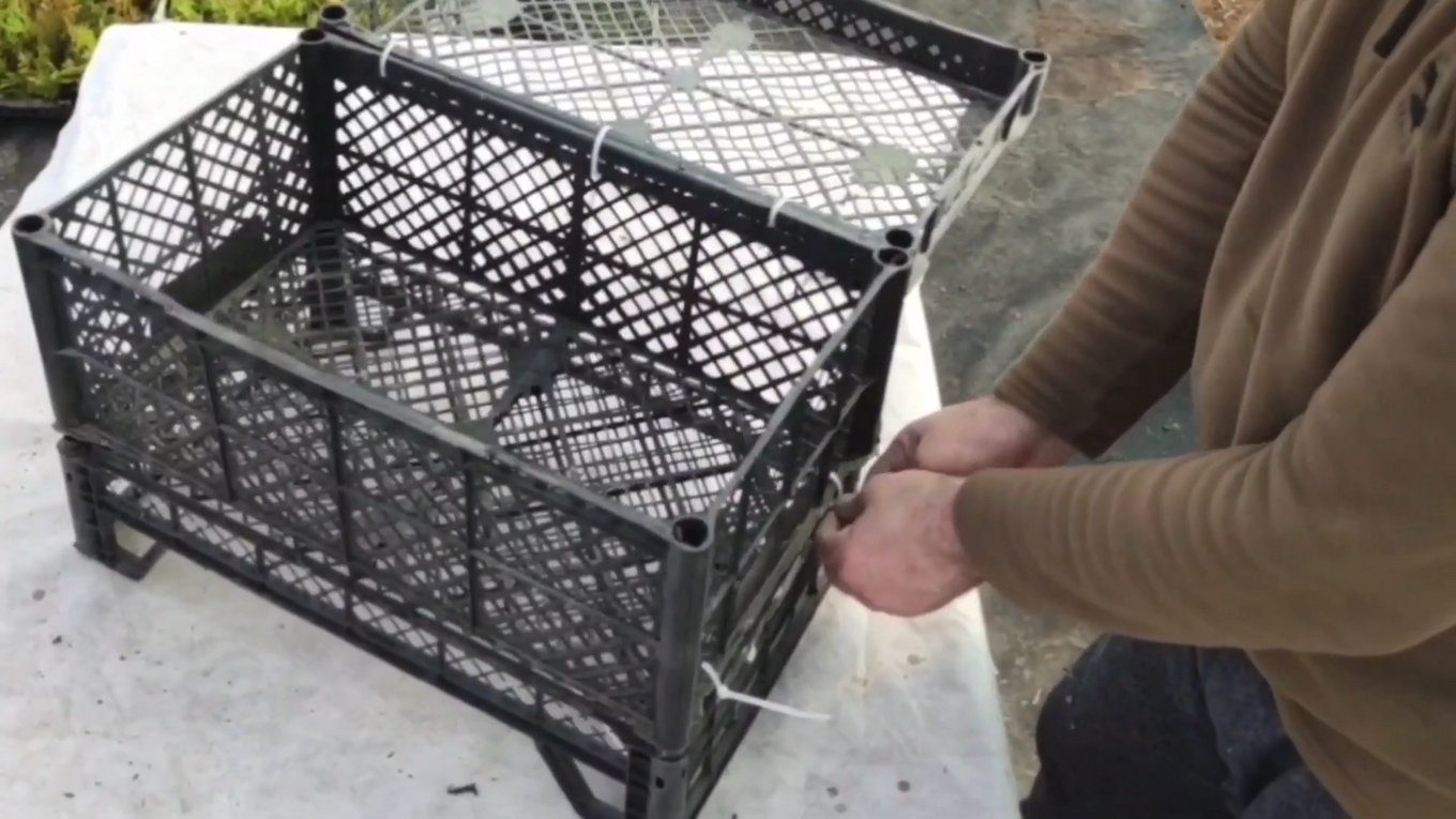 Городники пояснили, як зробити мініпарник із пластикових ящиків