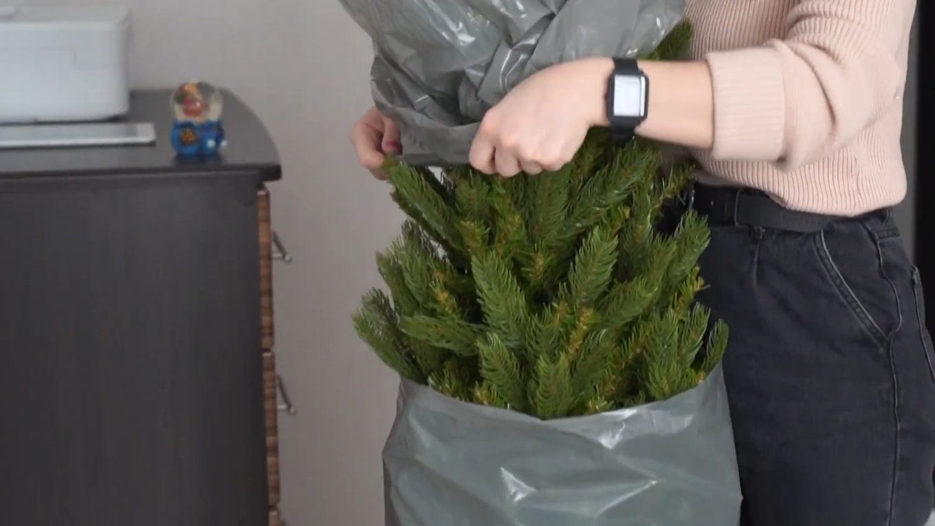 Господині назвали 5 способів утилізації новорічної ялинки та прибирання голок