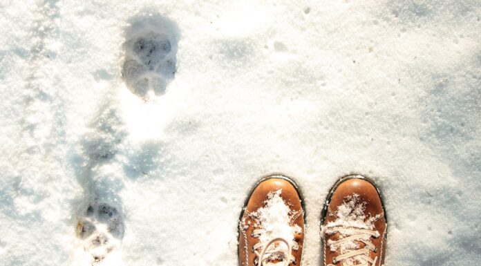 Кладу це між шкарпетками та устілкою – і ноги теплі навіть у -20: проводжу на вулиці по 10 годин у комфорті Як утеплити взуття за допомогою фольги