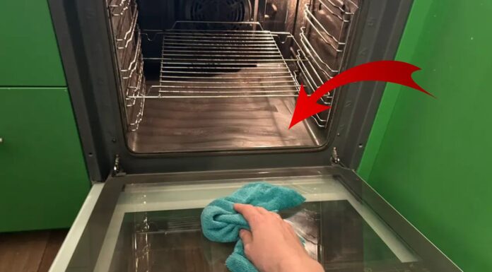 По 3 краплі на губку – і духовка чиста без тертя: жир сходить сам, поки я зранку насолоджуюсь кавою Як очистити стару духовку від жиру та нагару