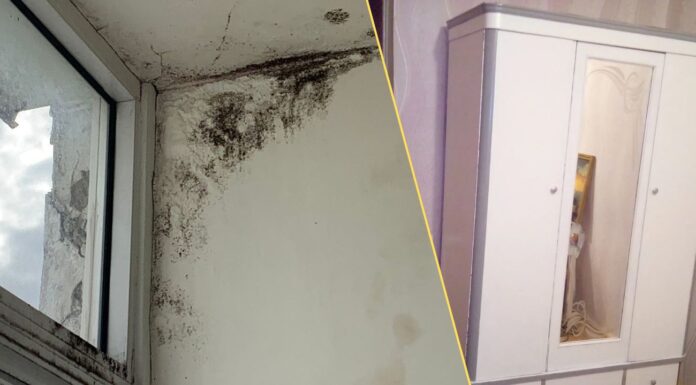 Як захистити стіну за шафою від плісняви