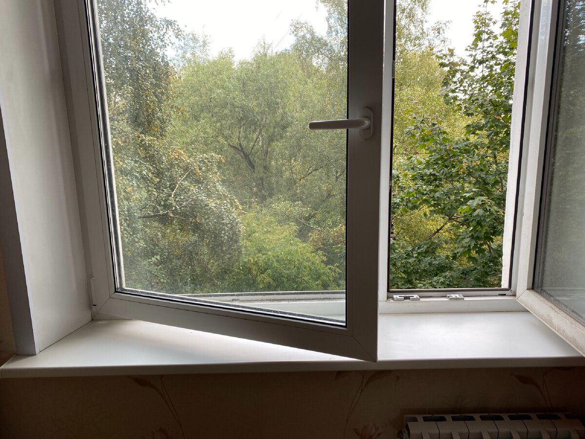 Експерти розповіли, як очистити вікна до ідеального блиску, аби не було розводів на склі після цього