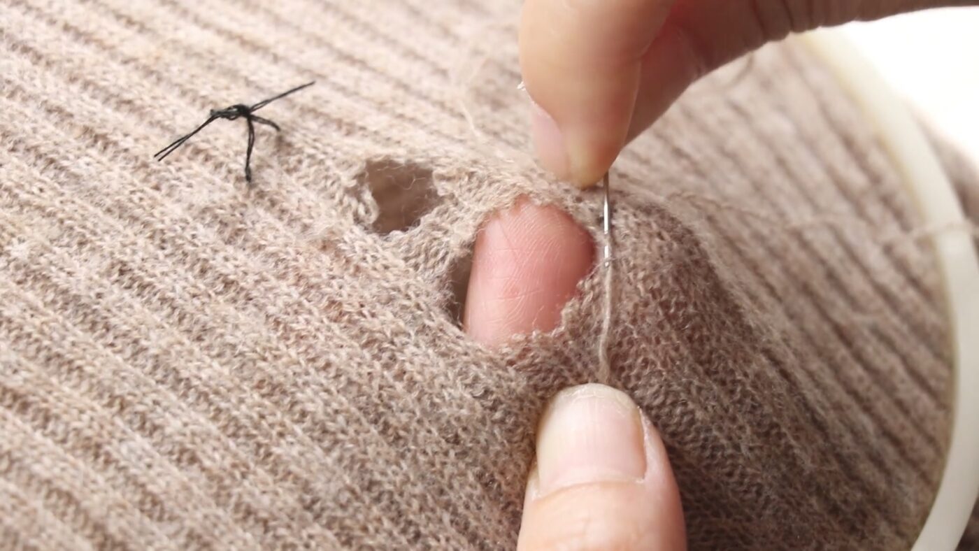 Експерти розповіли, як захистити одяг у шафі від молі та позбутись від цього шкідника