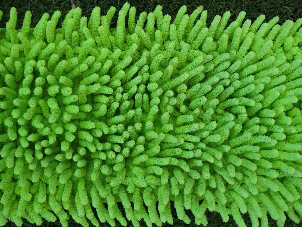 Експерти розповіли, скільки разів на тиждень потрібно мити підлогу вдома навесні, аби було чисто