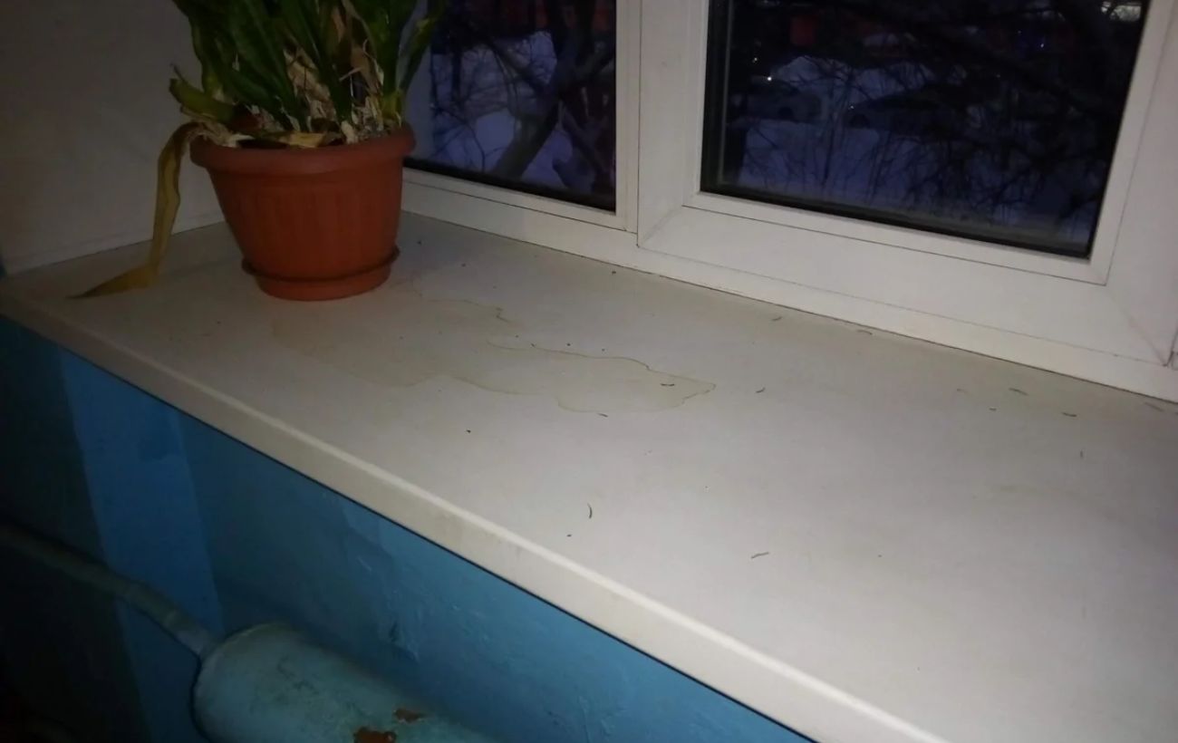 Експерти розповіли, як відбілити жовтий пластик підвіконня за допомогою простого засобу