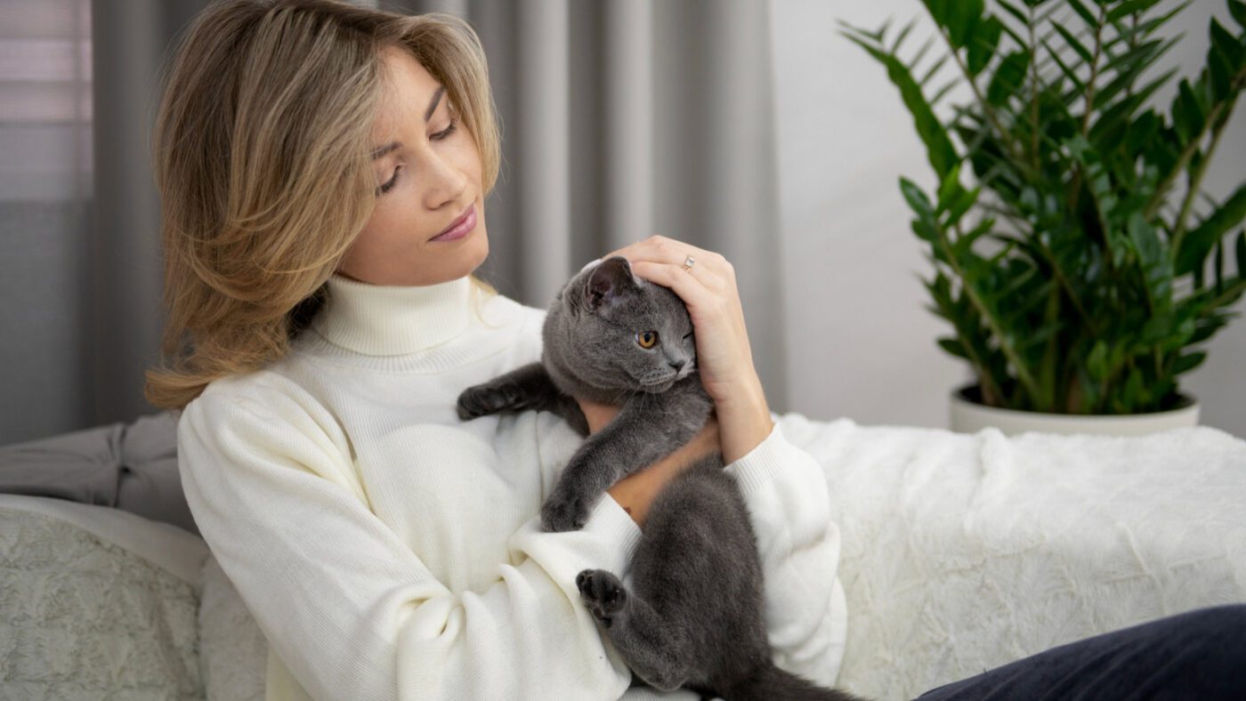 Ветеринари пояснили, як треба кликати котів, щоб вони відгукувалися