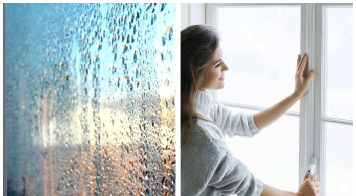 Спеціалісти розповіли, як зменшити вологість в оселі