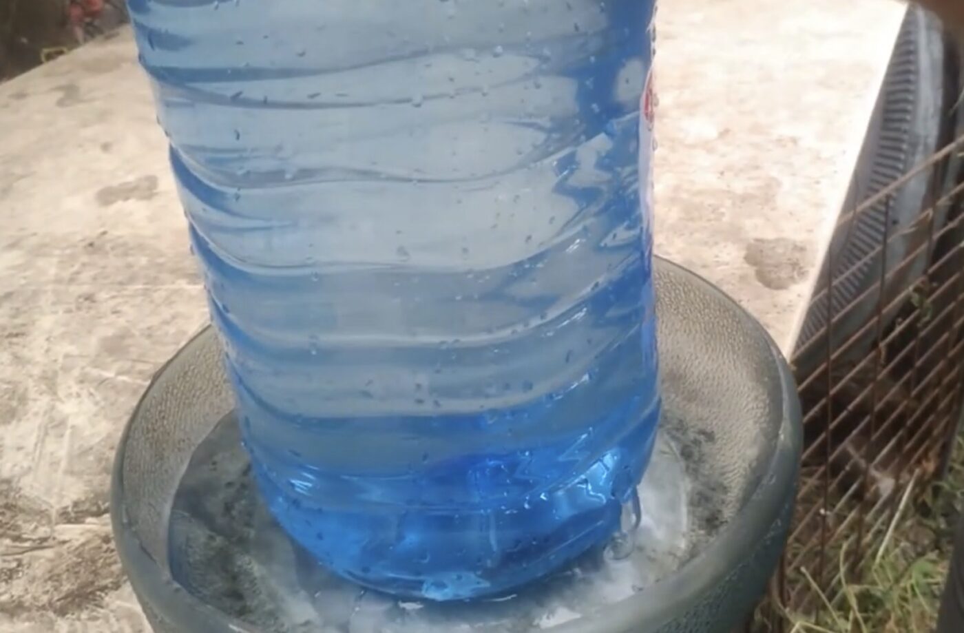 Як зробити поїлку для курей з підручних засобів