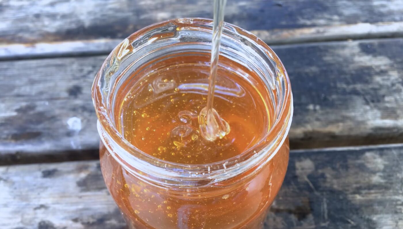 Який мед найкорисніший для здоровʼя