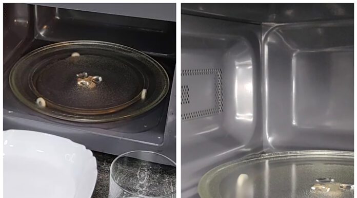 Господині показали, як методом без хімії очистити мікрохвильовку