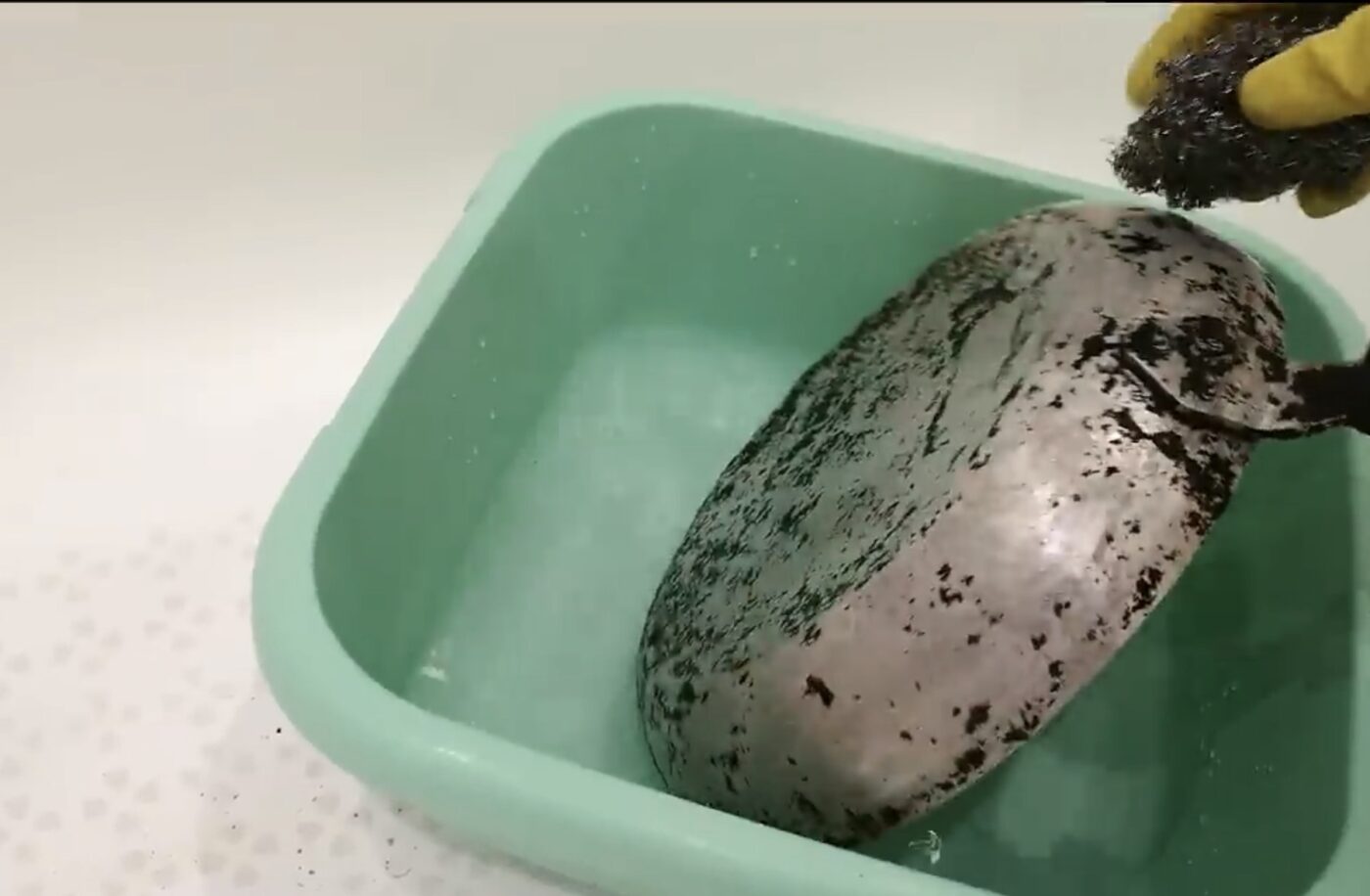 Як прибрати нагар зі старих сковорідок