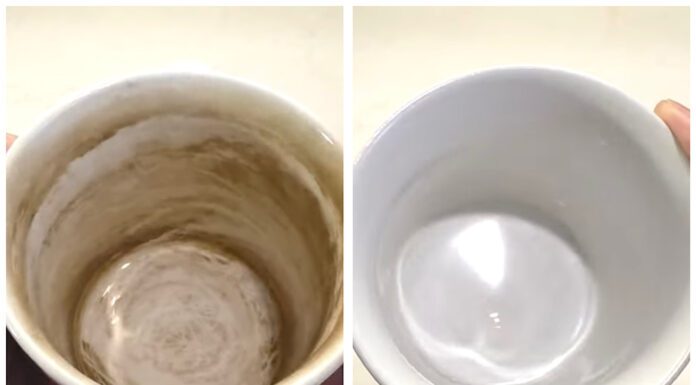 Господині показали, як відмити з чашок чайний наліт