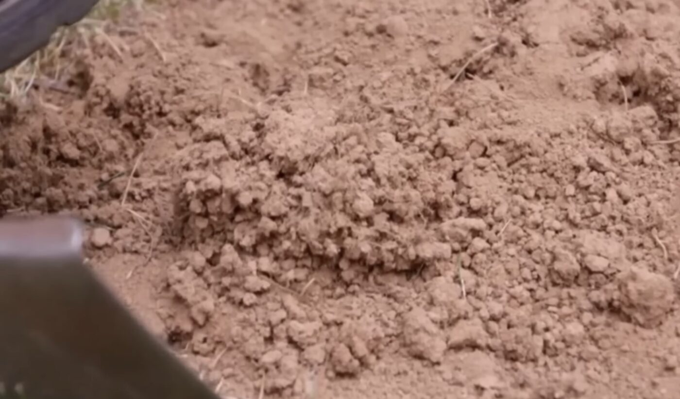 Як зробити чорнозем на глиняній землі