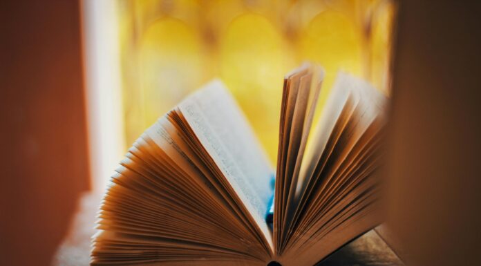 “Туалет” звучить не так красиво: 1 суто українське слово на заміну, аби звучати розумно та милозвучно Навчання на курсі журналістики