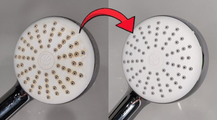 Душова лійка буде з напором Ніагарського водоспаду: очищаю 1 професійним, але простим способом Господині показали, як почистити душову лійку для кращого напору
