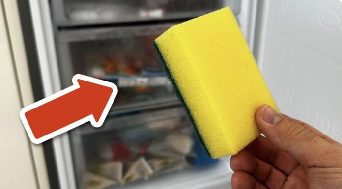 Мама вдома завжди кладе суху губку в холодильник: 1 хитрість, яка рятує продукти від псування Господині показали, як подовжити термін зберігання продуктів в холодильнику