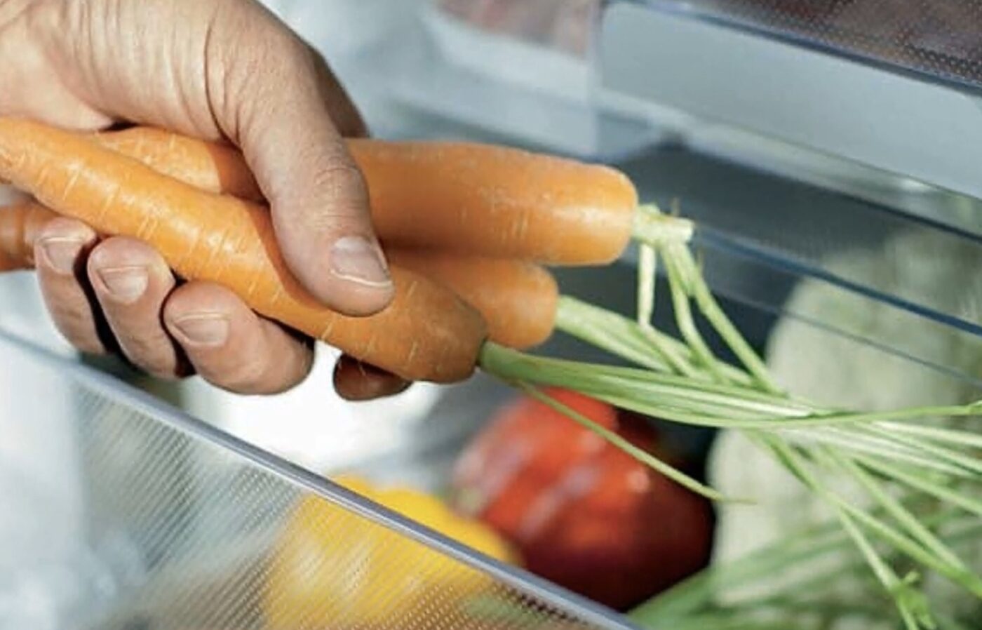 Як подовжити термін зберігання продуктів в холодильнику