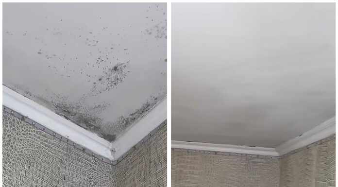 Від плісняви й сліду не лишилось: беру 2 засоби, що є у кожного вдома – волога зникає Господарі показали, як без магазинної хімії прибрати плісняву в оселі