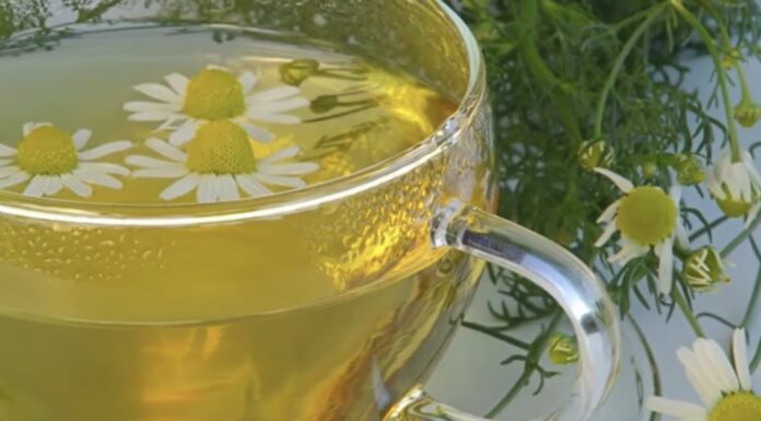 Заварюю щовечора ромашковий чай – і от які зміни помітила: 3 причини пити напій регулярно Лікарі пояснили, чому варто щодня пити ромашковий чай