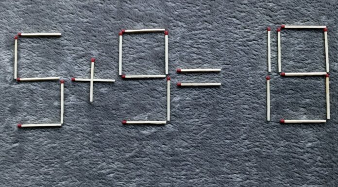 Перемістила лише 1 сірник у рівнянні – і відповідь стала правильною: а ви зможете? Сірникова головоломка для тренування розуму від вчених