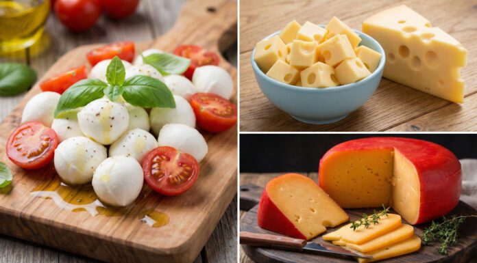 Кардіологи порадили найкорисніші сири для серця й судин