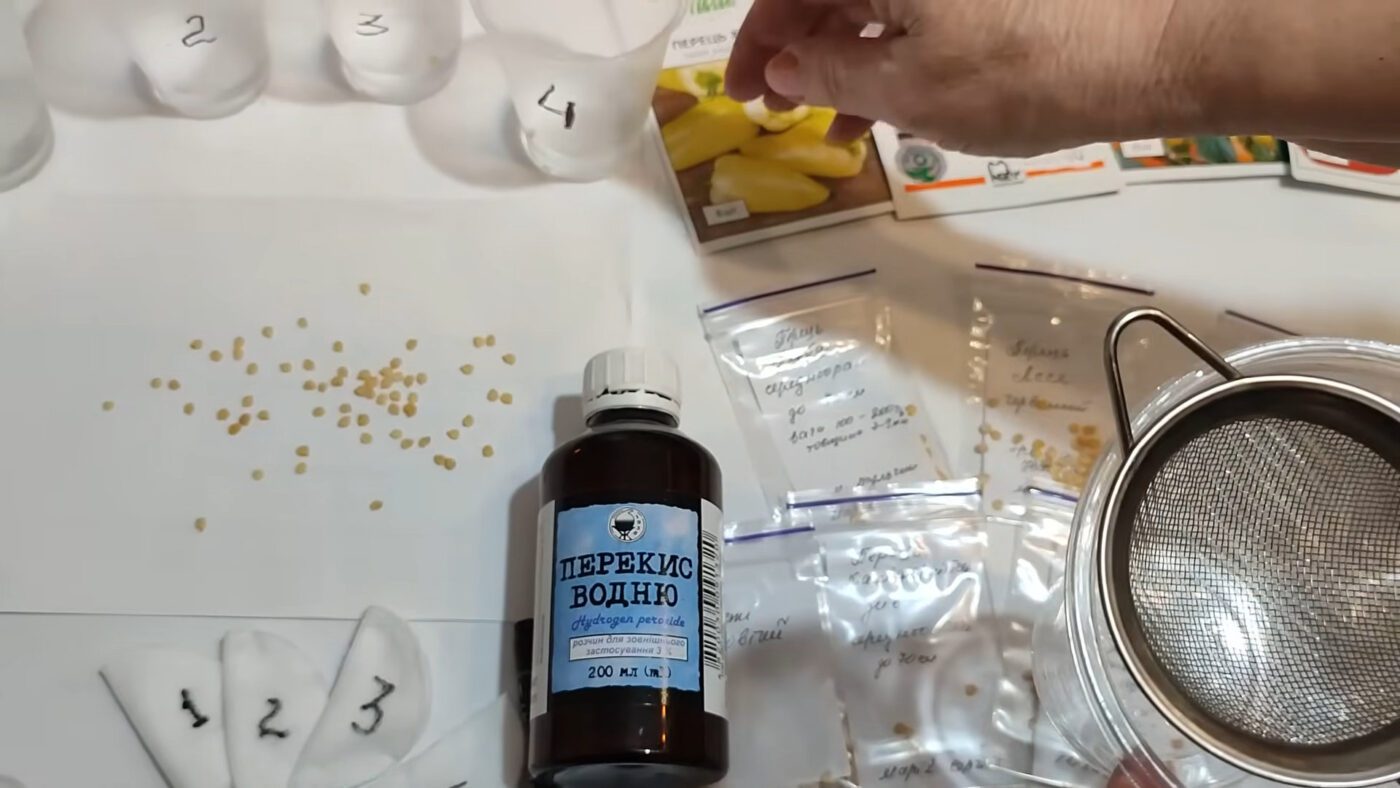 Домашній метод замочування насіння томатів для швидких сходів