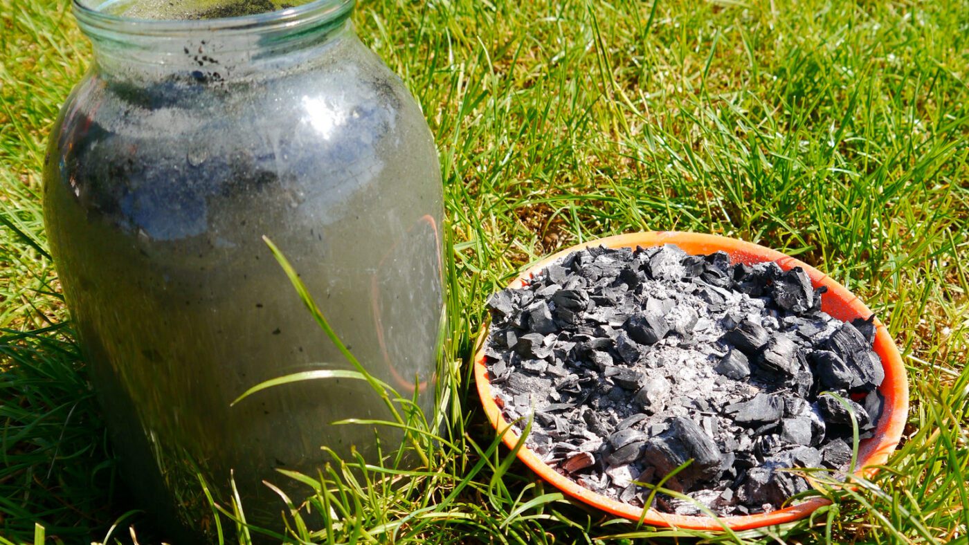 Найкращі весняні добрива для підживлення плодових кущів та дерев