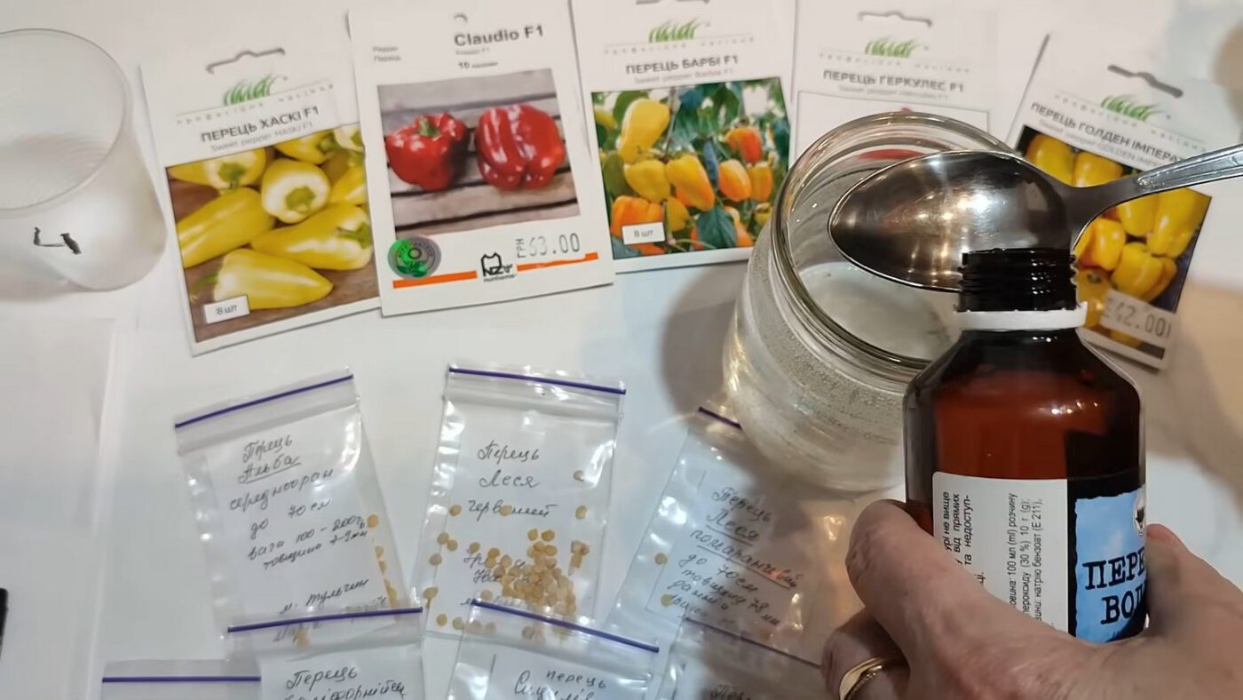 Городники розповіли, як пророщувати насіння перед посівом розсади