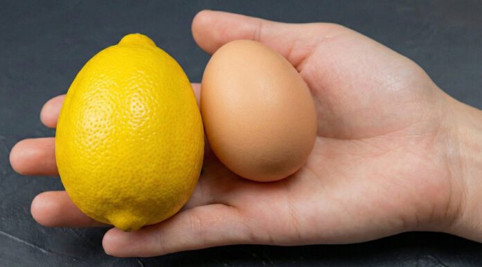 Треба лише 1 лимон та 1 яйце: це не рецепт, а золото – найкраще печиво до чаю за 20 хвилин Швидкий рецепт печива без масла та маргарину