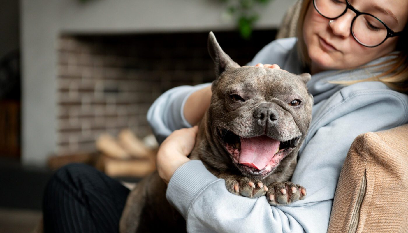 Ветеринари розповіли, як швидко вивести бліх у домашніх улюбленців