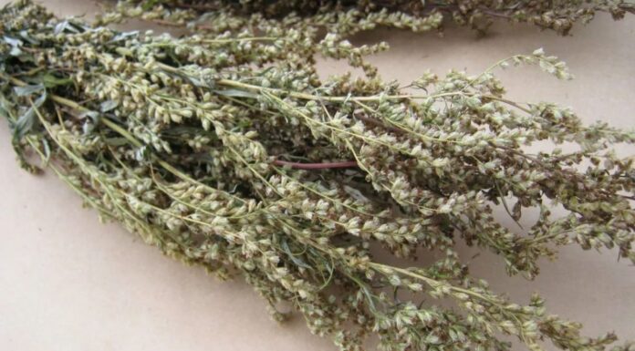 Як захистити свій дім від злого ока