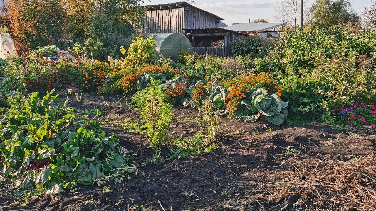Експерти порадили, як використовувати скляну банку на грядці, аби вона принесла багато користі