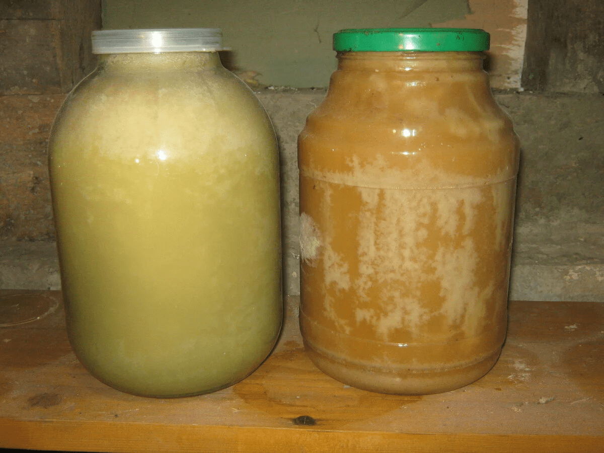 Експерти розповіли, чи можна їсти мед кожного дня та чи дійсно це настільки корисно і безпечно