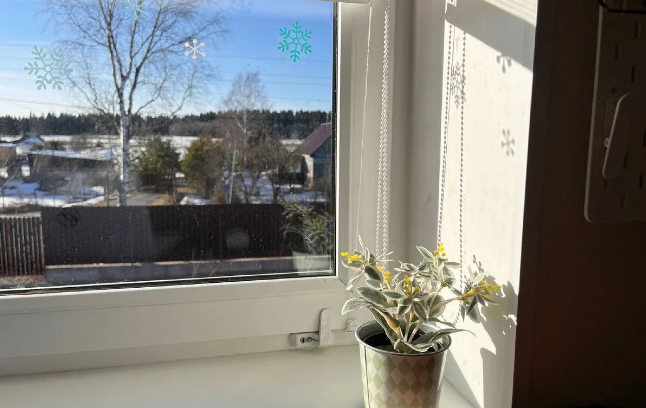 Експерти розповіли, скільки насправді потрібно провітрювати кімнату, аби не боліла голова