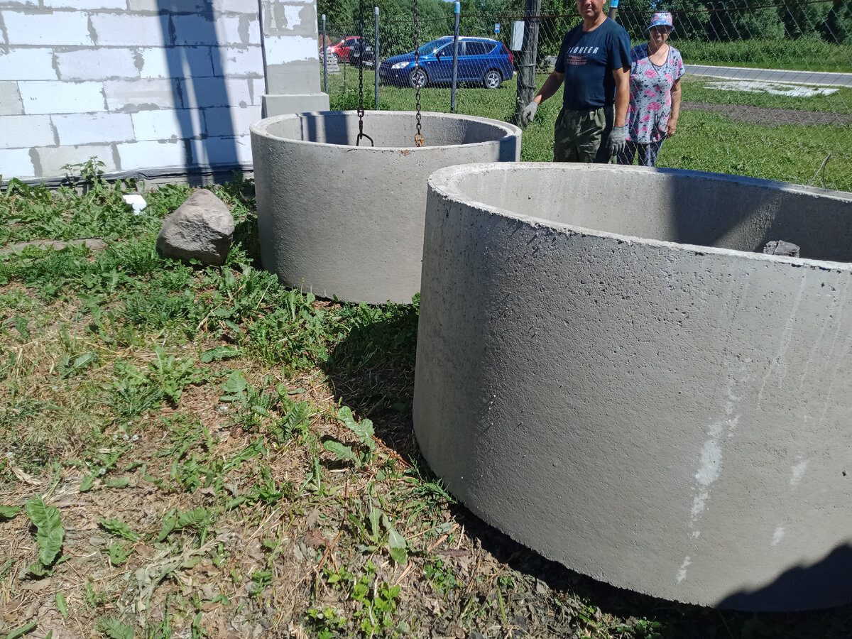 Експерти пояснили, які культури не можна садити біля септика, аби не пошкодити фундамент