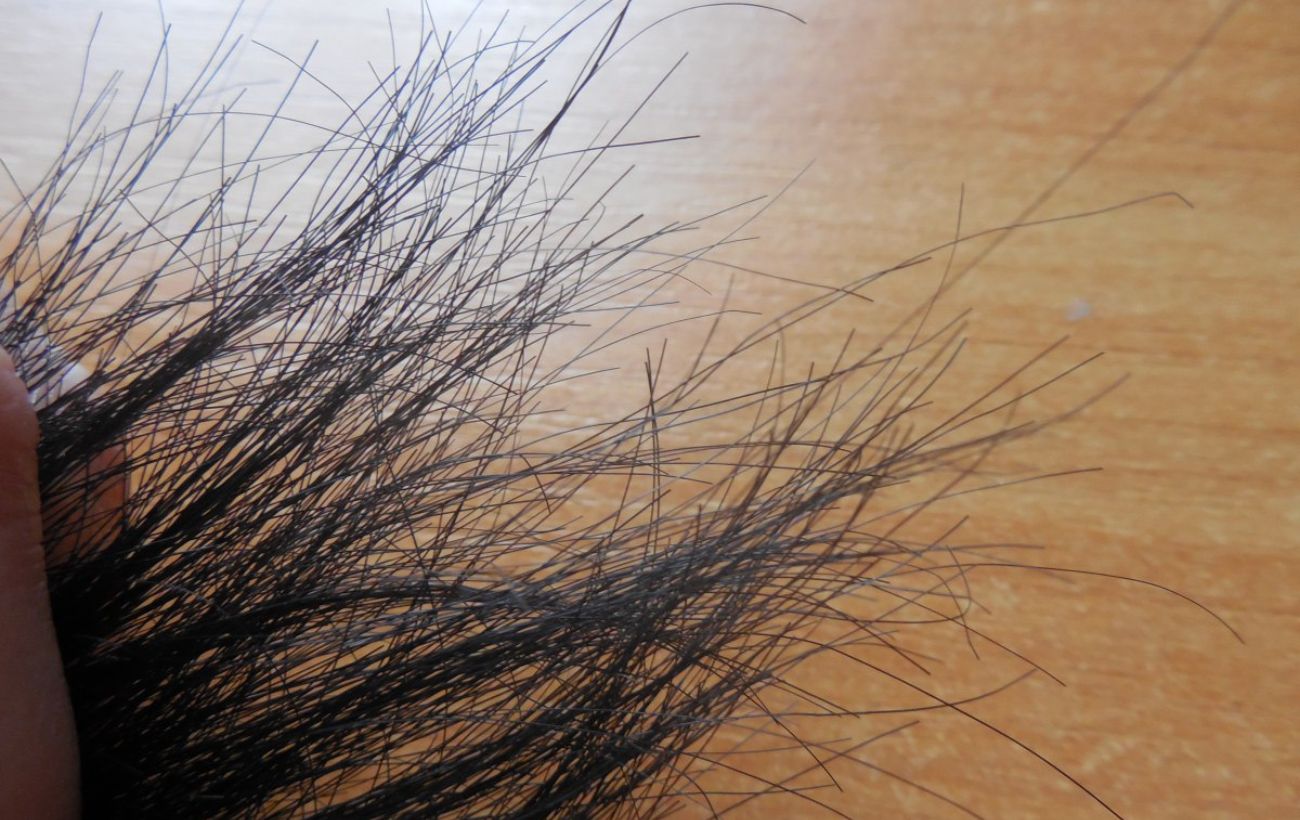 Експерти порадили добавку у шампунь, яка допоможе покращити стан волосся без зайвих витрат