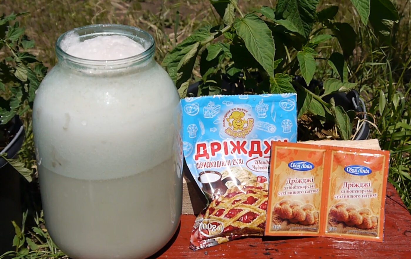 Популярні народні добрива, які не дають користі городу