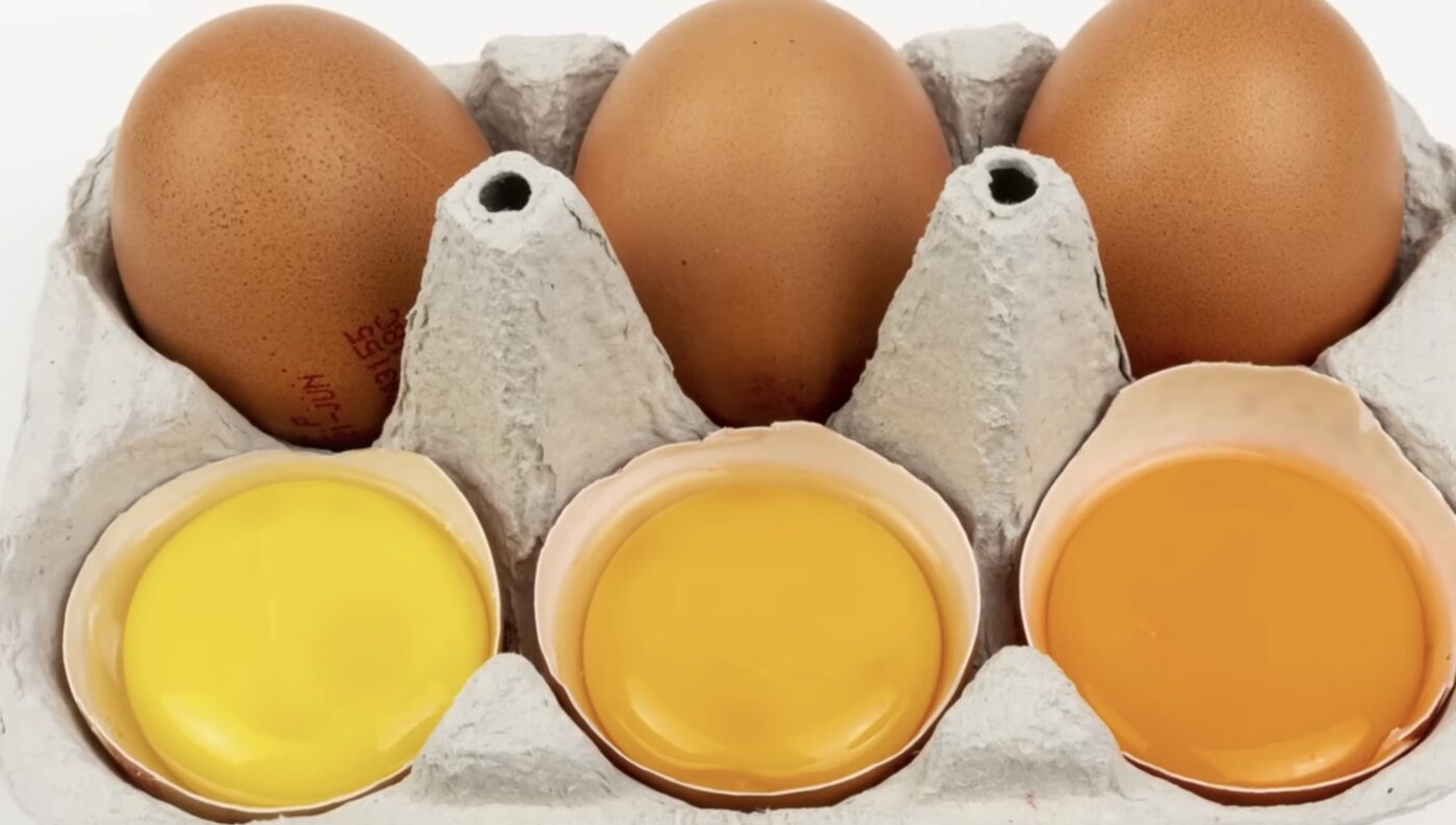Як впливають яйця та кисломолочний сир на серце