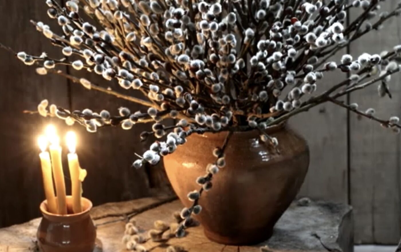 Як котики стали символом Вербної неділі. Фото: YouTube Український світ