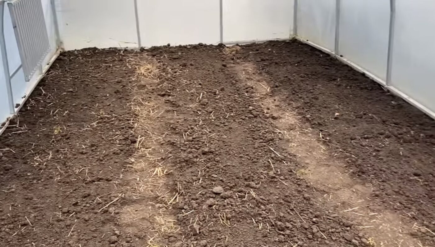 Як підготувати землю в теплиці для щедрого врожаю. Фото: YouTube Довідник садівника-городника