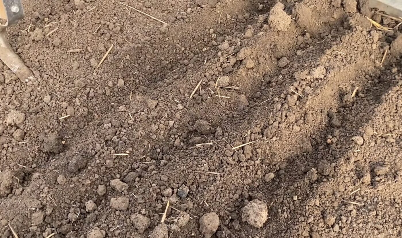 Як підготувати землю в теплиці для щедрого врожаю. Фото: YouTube Довідник садівника-городника