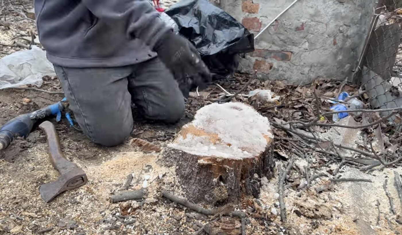 Як прибрати старі пеньки з саду. Фото: YouTube Hand Made Життя