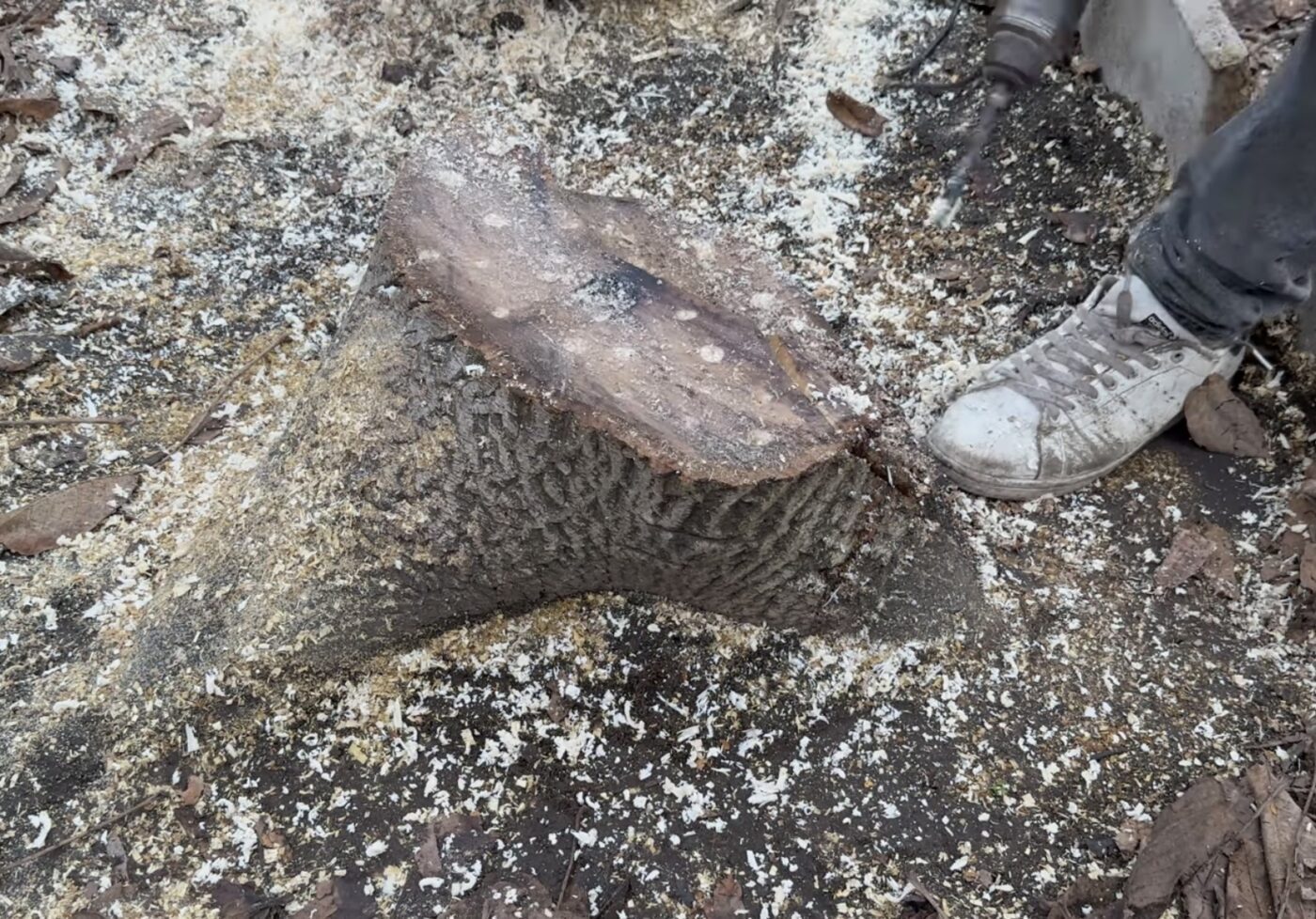 Як прибрати старі пеньки з саду. Фото: YouTube Hand Made Життя