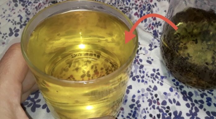 П’ю рівно 1 склянку цього настою перед сном – і набряки на обличчі не виникають на ранок Лікарі пояснили, який напій треба пити увечері, щоб на ранок не мати набряків. Фото: YouTube ДОМ САД MIX