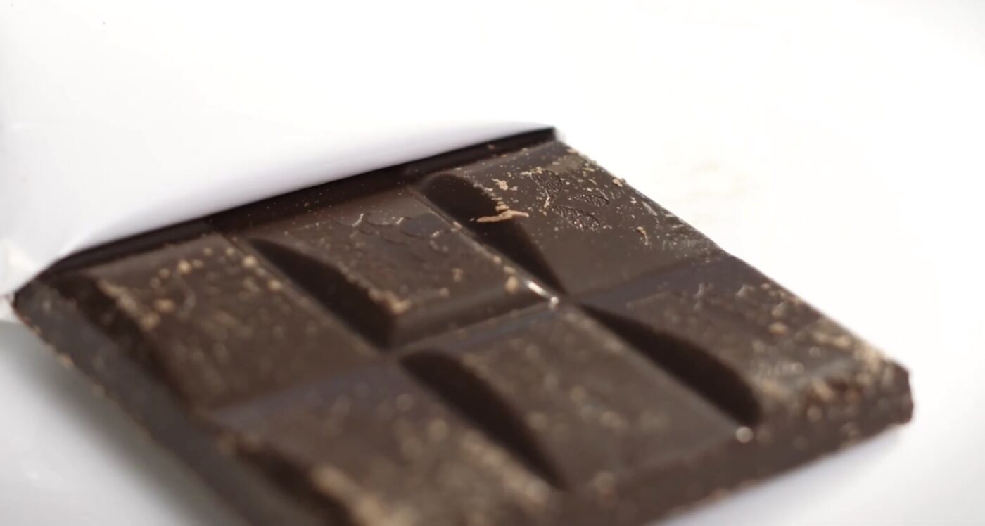 Важливі поради щодо харчування собак